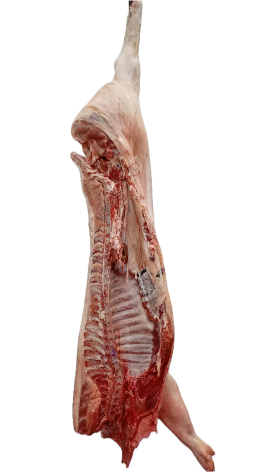 Media Res de Cerdo