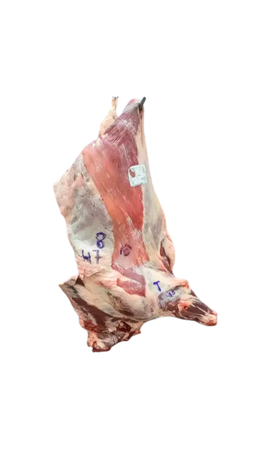 Delantero