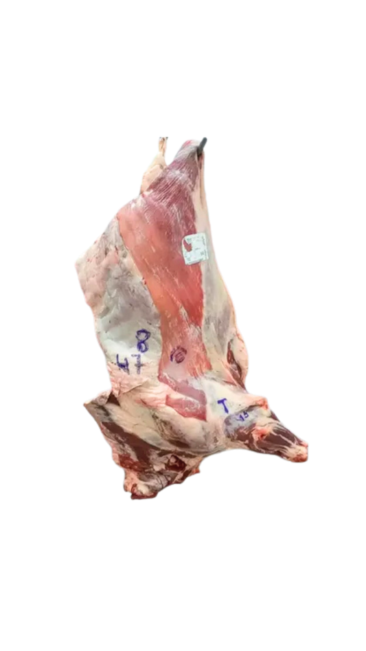 Delantero