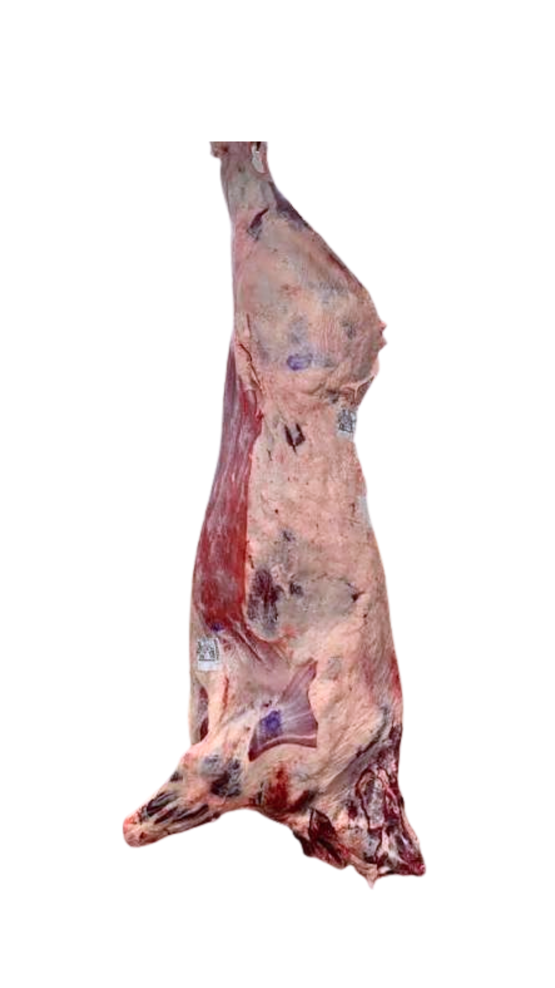 TH 70 A 97 KG
